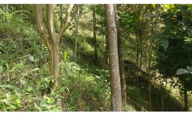 LOTE INDEPENDIENTE EN VENTA EN LA ESTRELLA ANTIOQUIA