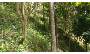 LOTE INDEPENDIENTE EN VENTA EN LA ESTRELLA ANTIOQUIA