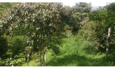 LOTE INDEPENDIENTE EN VENTA EN LA ESTRELLA ANTIOQUIA