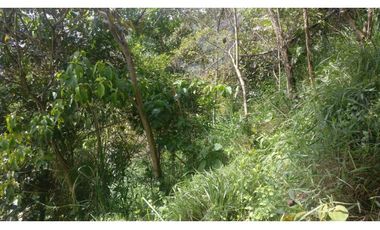 LOTE INDEPENDIENTE EN VENTA EN LA ESTRELLA ANTIOQUIA
