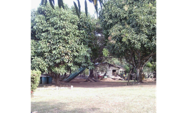 Se Vente Terreno de 35 Hectáreas en Rio Chico de Pacora
