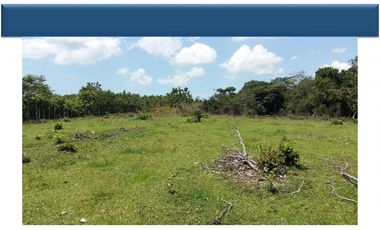 Se Vente Terreno de 35 Hectáreas en Rio Chico de Pacora