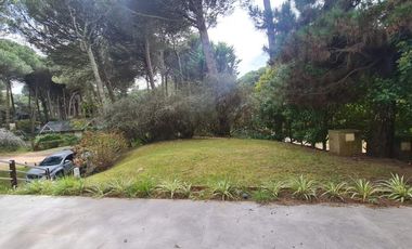 Cariló | Casa Los Abus