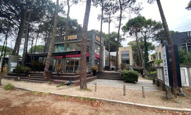 Local Comercial 1 y 2 Paseo Los Tipales