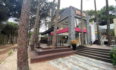 Local Comercial 1 y 2 Paseo Los Tipales