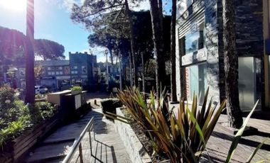 Local Comercial 1 y 2 Paseo Los Tipales