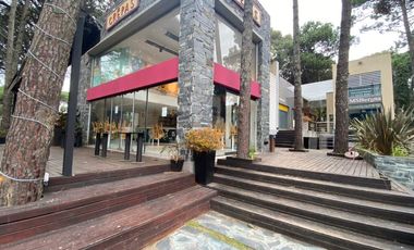 Local Comercial 1 y 2 Paseo Los Tipales