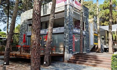 Local Comercial 1 y 2 Paseo Los Tipales