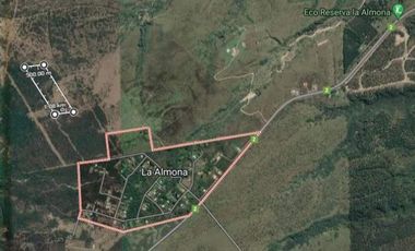 VENTA / FINCA / LA ALMONA / 5 HAS. / USD 250.000