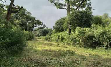 VENTA / FINCA / LA ALMONA / 5 HAS. / USD 250.000