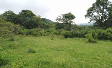 VENTA / FINCA / LA ALMONA / 5 HAS. / USD 250.000