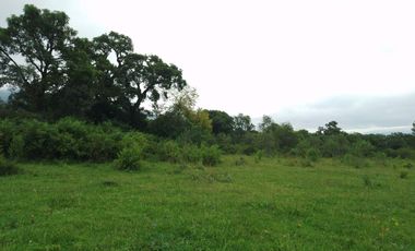 VENTA / FINCA / LA ALMONA / 5 HAS. / USD 250.000