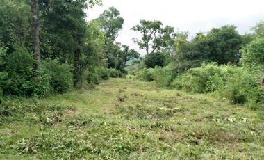 VENTA / FINCA / LA ALMONA / 5 HAS. / USD 250.000