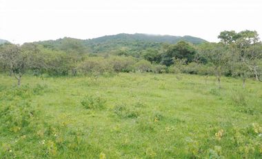 VENTA / FINCA / LA ALMONA / 5 HAS. / USD 250.000