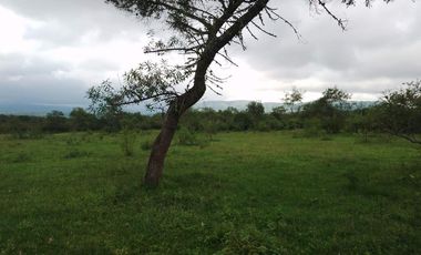 VENTA / FINCA / LA ALMONA / 5 HAS. / USD 250.000