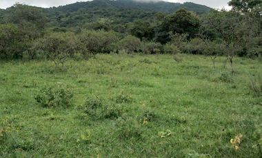 VENTA / FINCA / LA ALMONA / 5 HAS. / USD 250.000