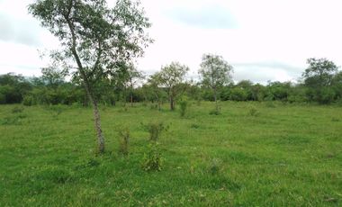 VENTA / FINCA / LA ALMONA / 5 HAS. / USD 250.000