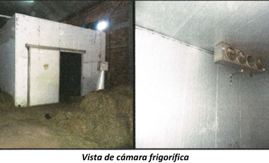 VENTA /CAMPO /FINCA SISA/ PAMPA BLANCA/ 60 HAS./ USD 1.500.000