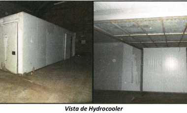 VENTA /CAMPO /FINCA SISA/ PAMPA BLANCA/ 60 HAS./ USD 1.500.000