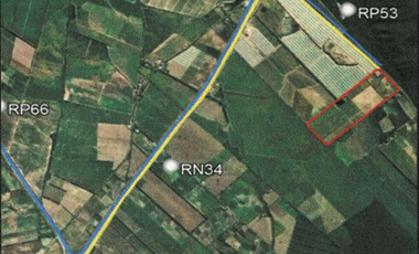 VENTA /CAMPO /FINCA SISA/ PAMPA BLANCA/ 60 HAS./ USD 1.500.000