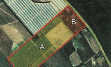 VENTA /CAMPO /FINCA SISA/ PAMPA BLANCA/ 60 HAS./ USD 1.500.000
