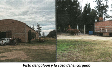 VENTA /CAMPO /FINCA SISA/ PAMPA BLANCA/ 60 HAS./ USD 1.500.000