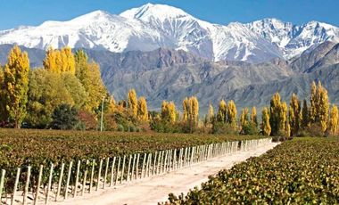 Se alquila departamento temporario en Mendoza