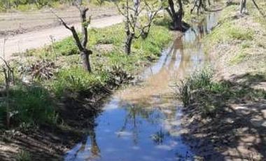 Finca con casa y frutales en Real del Padre (Linea de Goico)
