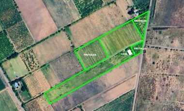 Finca con casa y frutales en Real del Padre (Linea de Goico)