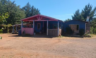 FUNDO SAN PEDRO DE COLICHEU - CABRERO - BIOBIO