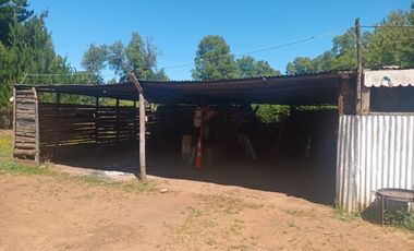 FUNDO SAN PEDRO DE COLICHEU - CABRERO - BIOBIO