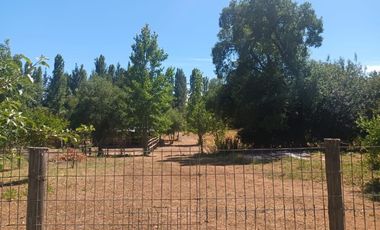 FUNDO SAN PEDRO DE COLICHEU - CABRERO - BIOBIO