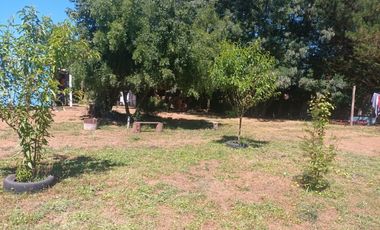 FUNDO SAN PEDRO DE COLICHEU - CABRERO - BIOBIO