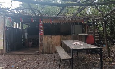 FUNDO SAN PEDRO DE COLICHEU - CABRERO - BIOBIO