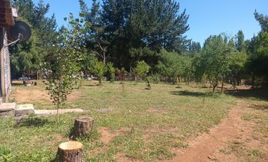 FUNDO SAN PEDRO DE COLICHEU - CABRERO - BIOBIO