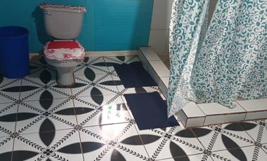 FUNDO SAN PEDRO DE COLICHEU - CABRERO - BIOBIO