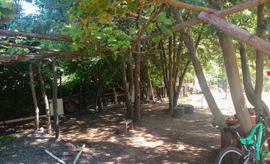 FUNDO SAN PEDRO DE COLICHEU - CABRERO - BIOBIO