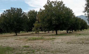 Terreno en venta en Sacramento, Sacramento, Coahuila de Zaragoza