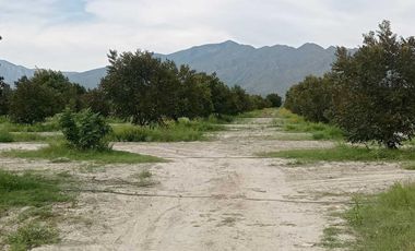 Terreno en venta en Sacramento, Sacramento, Coahuila de Zaragoza