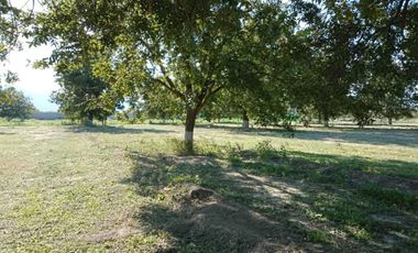 Terreno en venta en Sacramento, Sacramento, Coahuila de Zaragoza