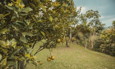 Finca en venta vereda el Jardín en Medellín