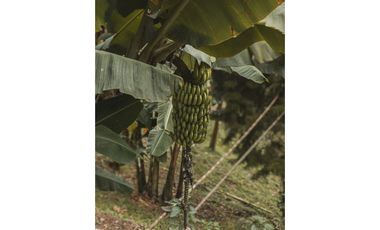 Finca en venta vereda el Jardín en Medellín