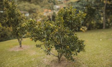 Finca en venta vereda el Jardín en Medellín