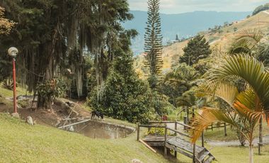 Finca en venta vereda el Jardín en Medellín