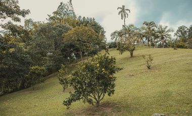 Finca en venta vereda el Jardín en Medellín
