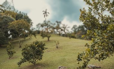 Finca en venta vereda el Jardín en Medellín