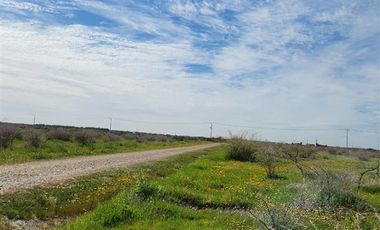 Sitio en Venta en CAPELLANIA M LT.B 31