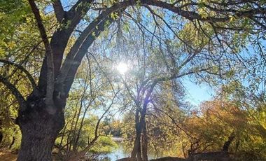 Sitio en Venta en CAPELLANIA M LT.B 31