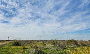 Sitio en Venta en CAPELLANIA M LT.B 31