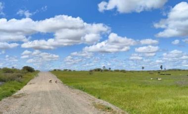 Sitio en Venta en CAPELLANIA M LT.B 31